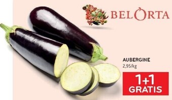 Alvo Aubergine aanbieding