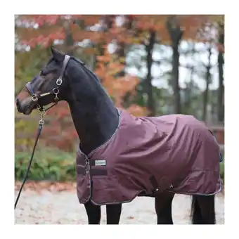 Decathlon Outdoor paardendeken kavalkade montreal 100g aanbieding
