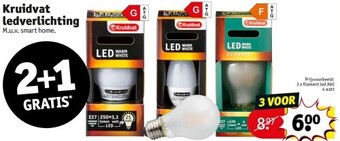 Kruidvat Kruidvat ledverlichting aanbieding