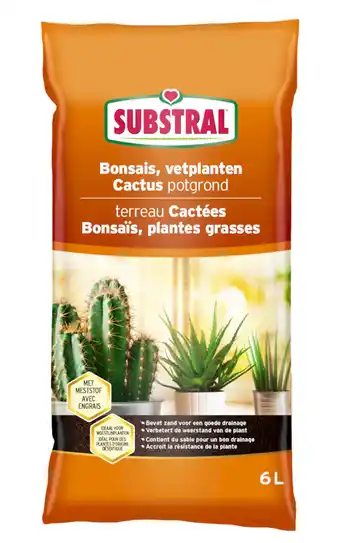 AVEVE Potgrond voor cactus en bonsaï 6 l aanbieding