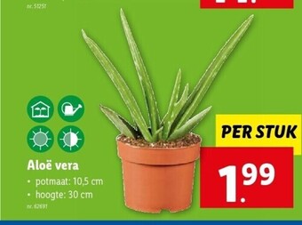 Lidl Aloë vera aanbieding