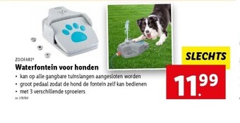Lidl Waterfontein voor honden aanbieding