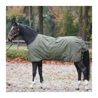 Decathlon Outdoor paardendeken kavalkade montreal 100g aanbieding