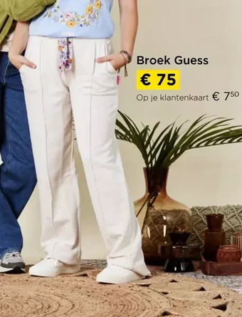 Molecule Broek guess aanbieding