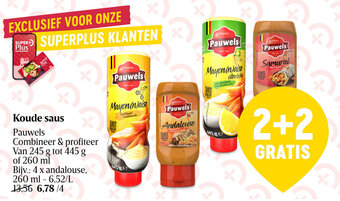 Delhaize Pauwels Koude saus aanbieding