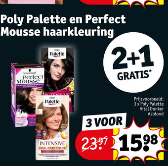 Kruidvat Poly Palette en Perfect Mousse haarkleuring aanbieding