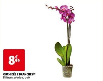 Auchan ORCHIDÉE 2 BRANCHES aanbieding