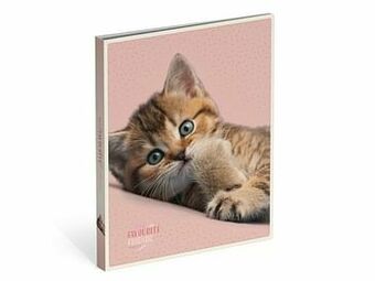 Multi bazar My Favourite Friends Ringband A4 Mini Polyprop 2 Ringen Cat/Pink aanbieding