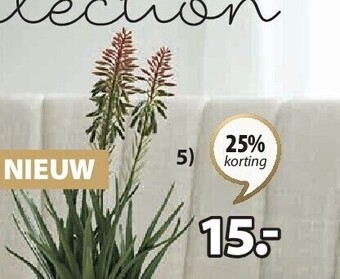 Jysk Rasmus kunstplant aanbieding