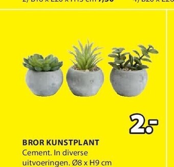 Jysk Bror kunstplant aanbieding