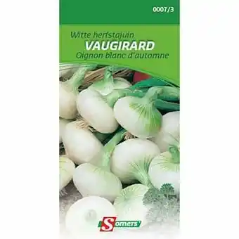 Brico Somers witte herfstajuin ’Vaugirard’ aanbieding