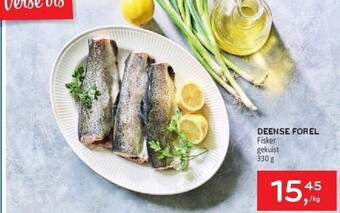 Alvo Deense forel aanbieding