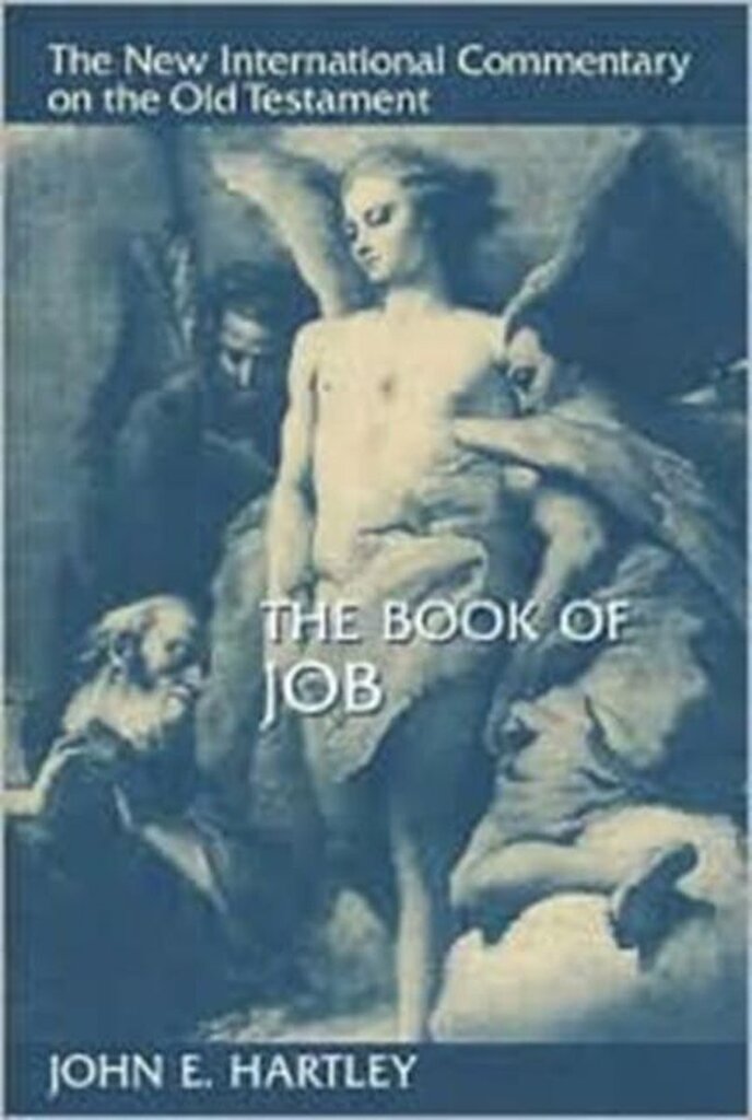 Bol.com Book of job aanbieding