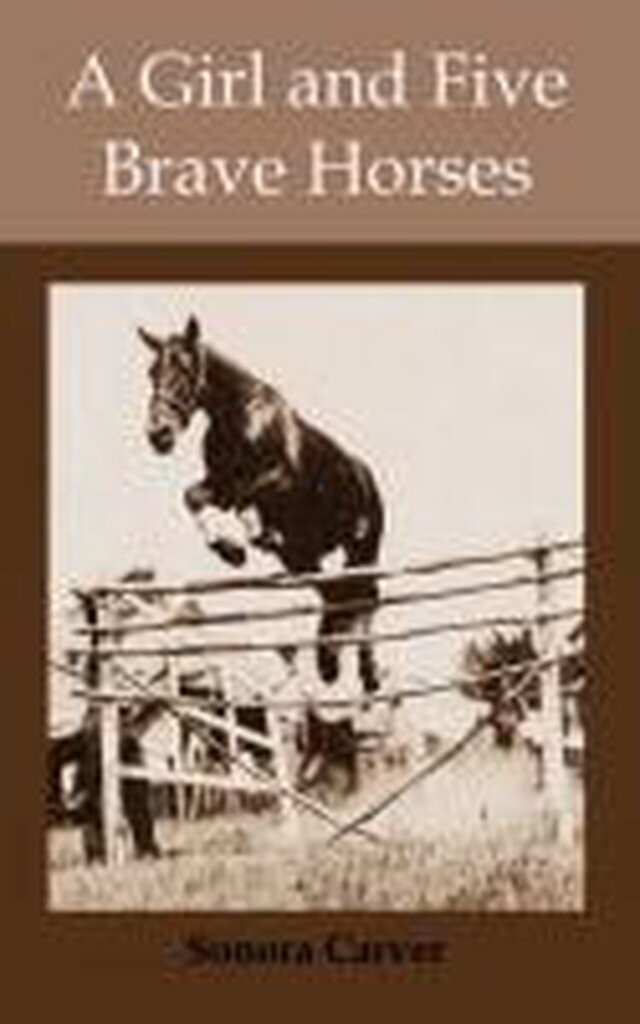 Bol.com A girl and five brave horses aanbieding