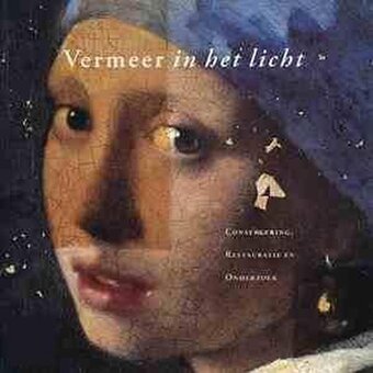 Bol.com Vermeer in het licht aanbieding