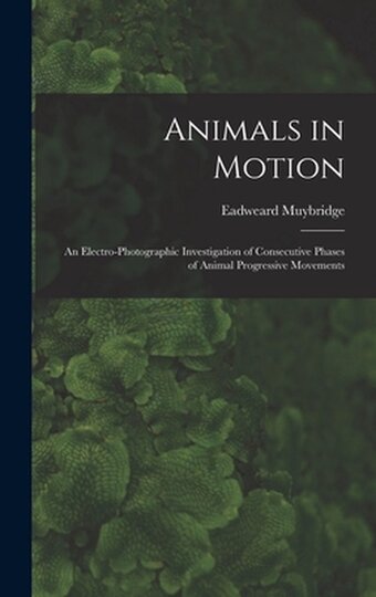 Bol.com Animals in motion aanbieding