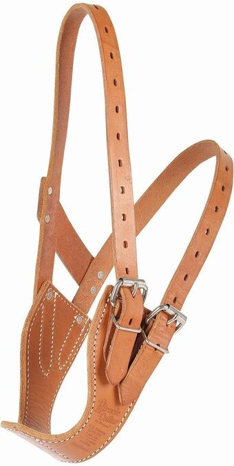 Bol.com Halster miracle licht bruin l aanbieding