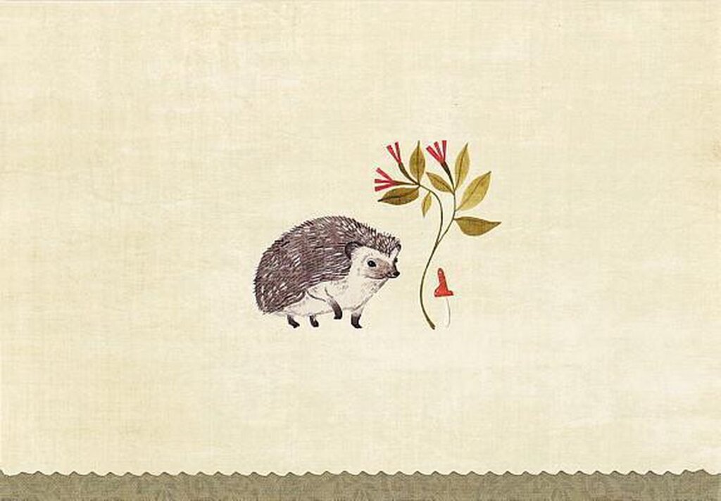 Bol.com Hedgehog note cards aanbieding