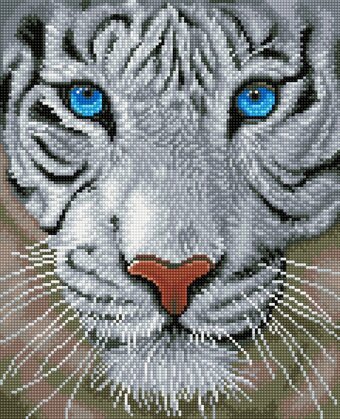 Bol.com Diamond dotz white magic - diamond painting - 17.228 dotz - 42x34 cm aanbieding