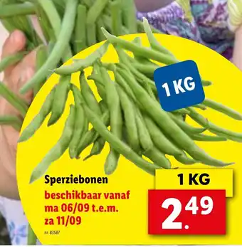 Sperziebonen 1kg