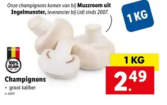 Lidl Champignons 1kg aanbieding