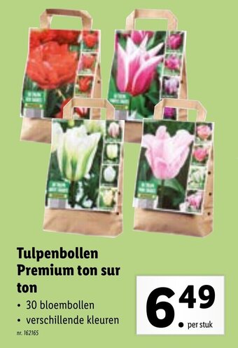 Lidl Tulpenbollen Premium ton sur ton aanbieding