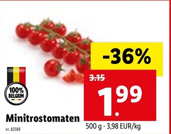 Lidl Minitrostomaten 500g aanbieding