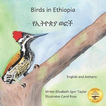 Bol.com Birds in ethiopia aanbieding