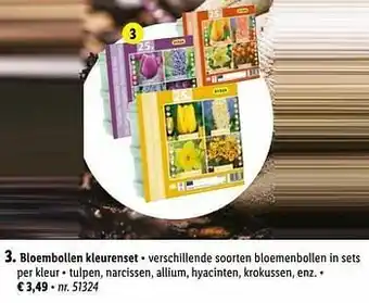 Lidl Bloembollen kleurenset aanbieding