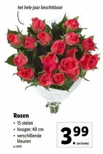 Lidl Rozen aanbieding