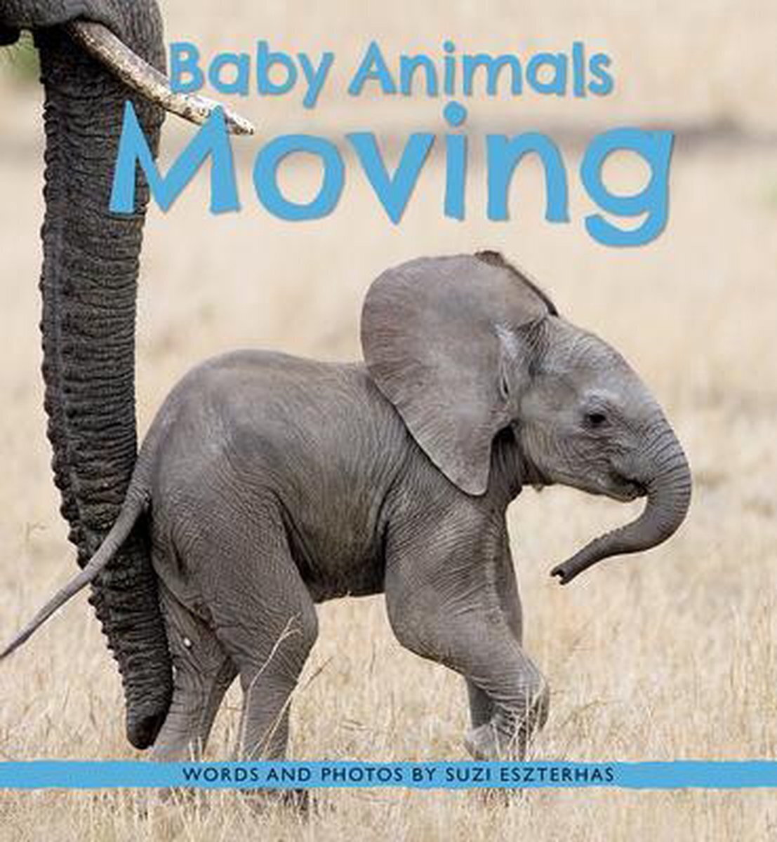 Bol.com Baby animals moving aanbieding