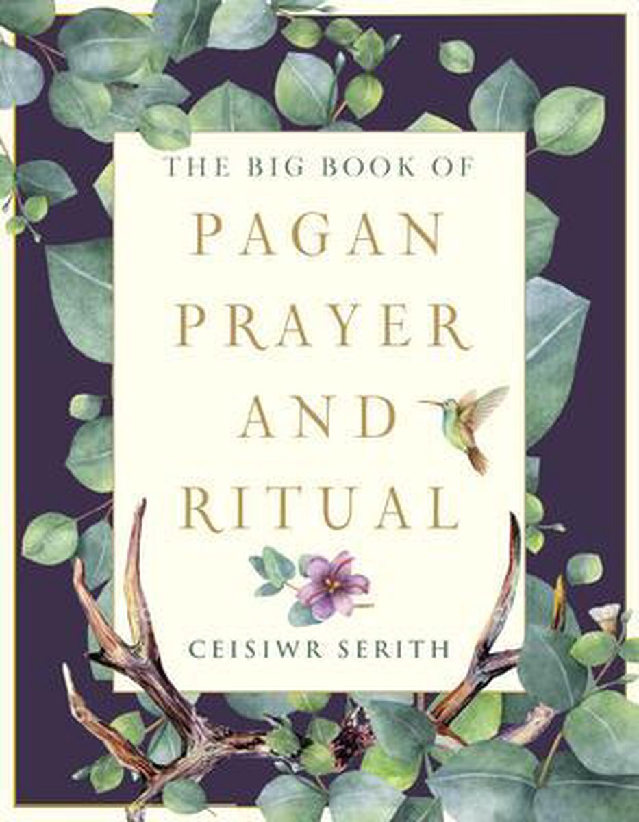 Bol.com The big book of pagan prayer and ritual aanbieding