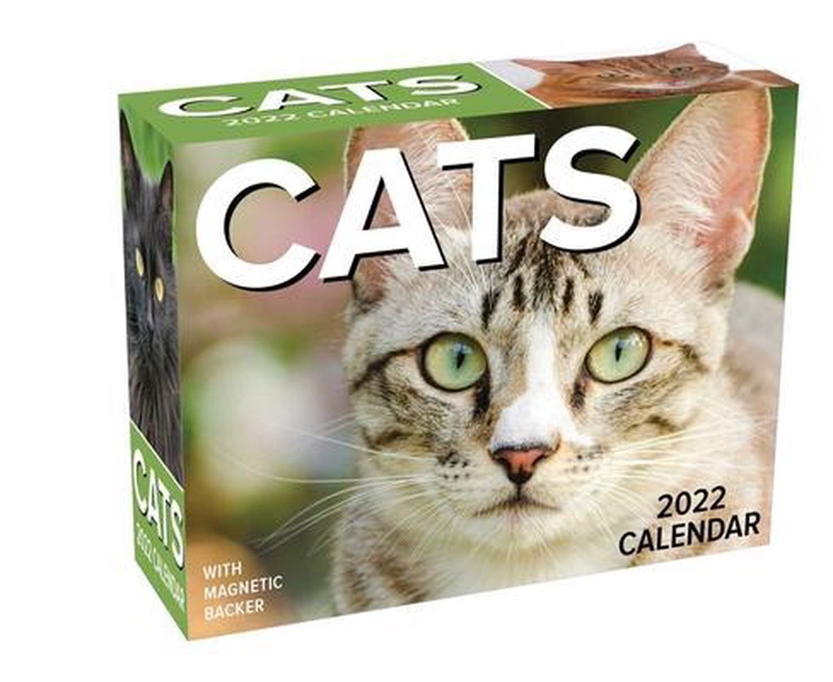 Bol.com Cats 2022 mini day-to-day calendar aanbieding