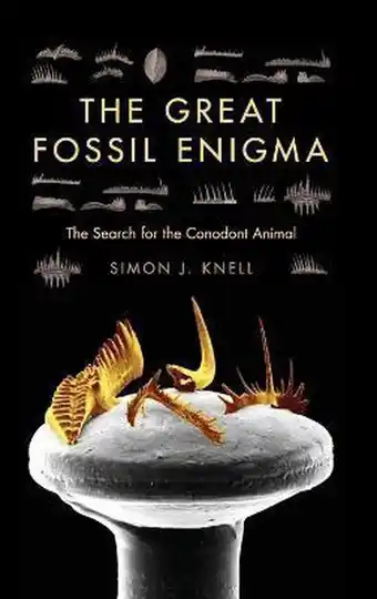 The great fossil enigma