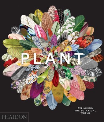Bol.com Plant exploring the botanical world aanbieding