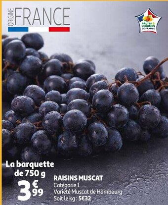 Raisins Muscat