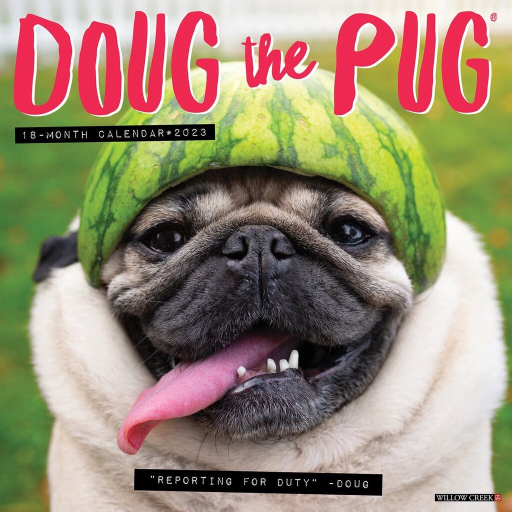 Bol.com Doug the pug 2023 wall calendar aanbieding