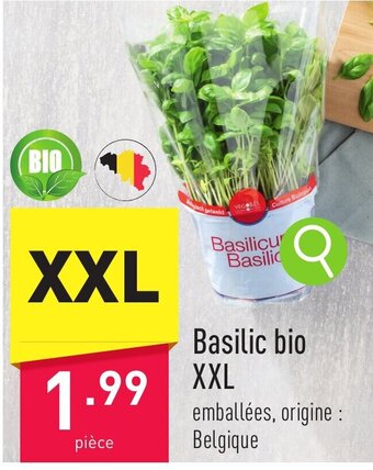 ALDI Basilic bio XXL aanbieding