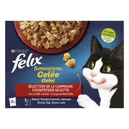 Natvoer voor katten met vlees in gelei 12 stuks 85 g
