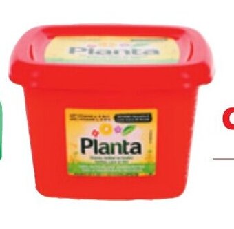 Planta 900 g
