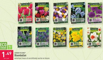 ALDI Bloembollen aanbieding
