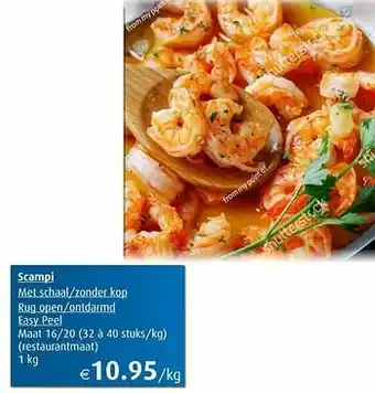 Scampi met schaal-zonder kop rug open-ontdarmd easy peel