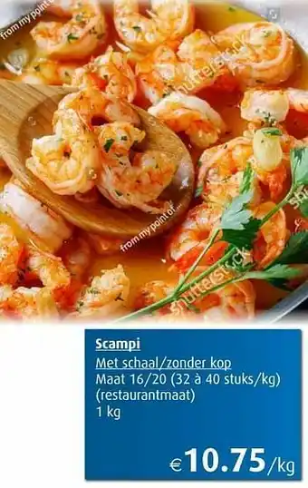 Aronde Scampi met schaal-zonder kop aanbieding