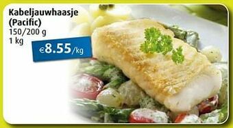 Aronde Kabeljauwhaasje aanbieding