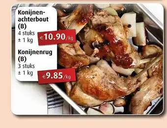 Konijnenachterbout, Konijnenrug