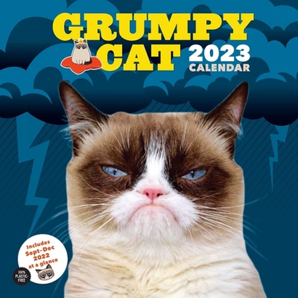 Bol.com 2023 wall calendar: grumpy cat aanbieding