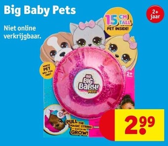 Kruidvat Big baby pets aanbieding