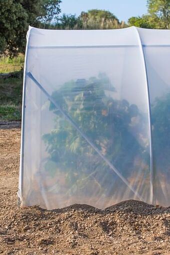Brico Bijkomende aanbojouwlengte 450cm Richel polyethyleen grijs transparant staal 150cm aanbieding