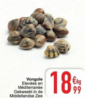 Cora Vongole aanbieding