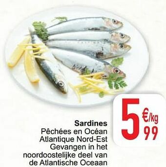 Cora Sardines aanbieding